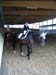 s13